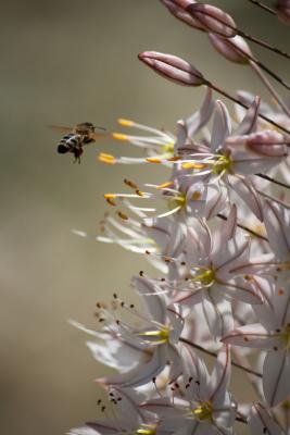 Прикрепленное изображение: IMG_9241.jpg